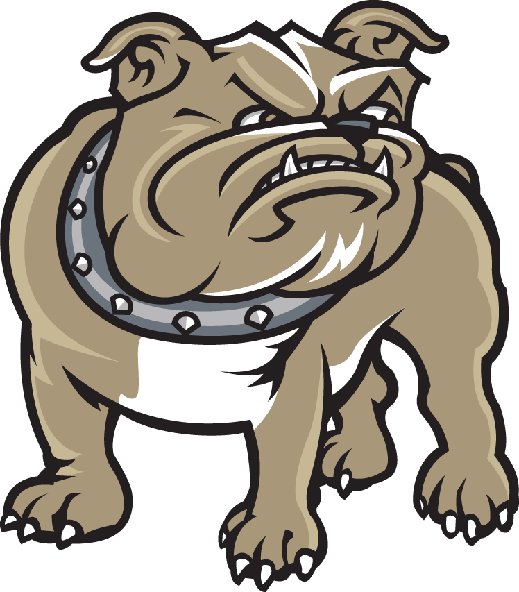 Bryant Bulldogs 2005-Pres Alternate Logo diy DTF decal sticker